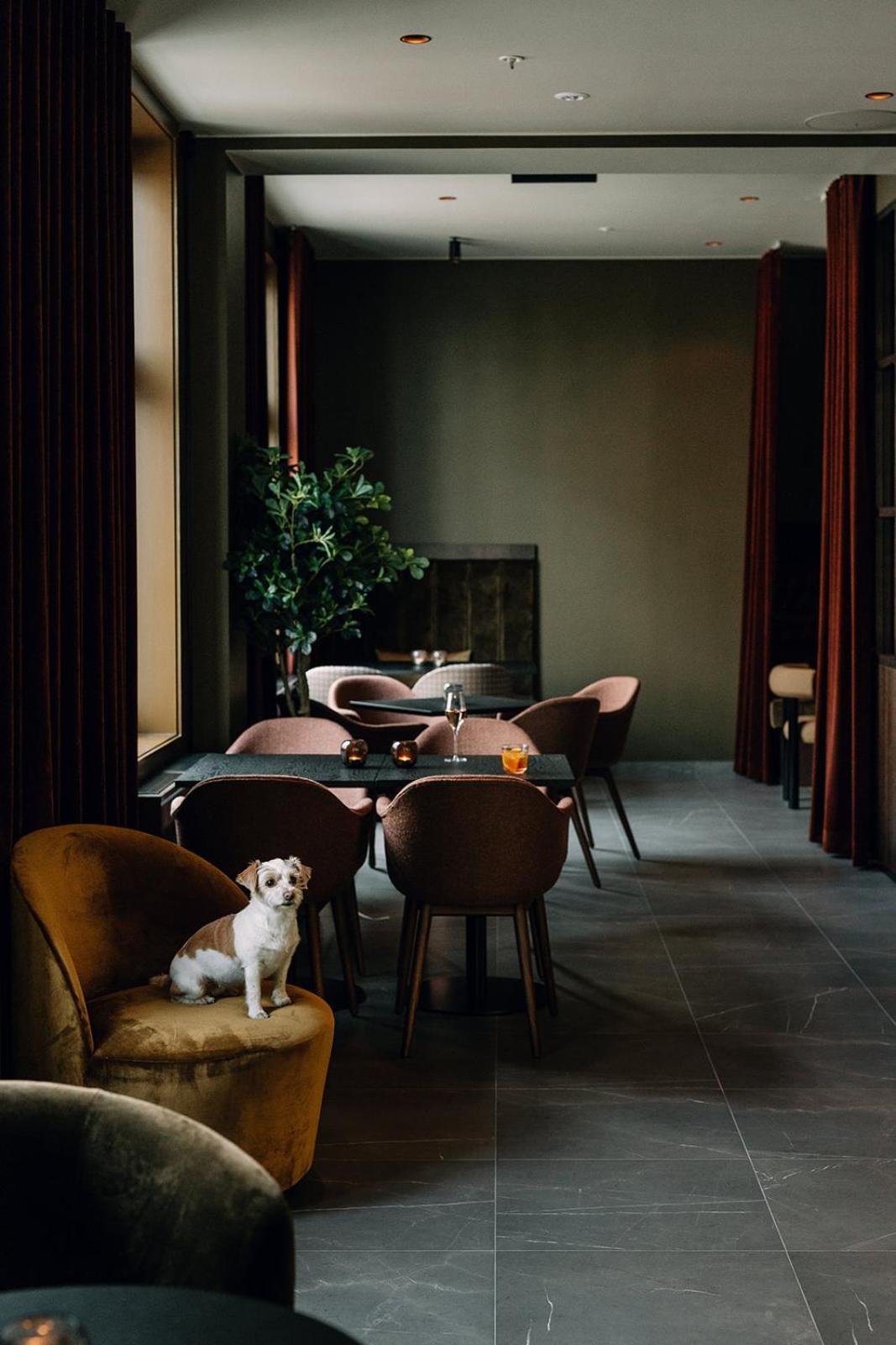 Saga Hotel Oslo, Worldhotels Crafted Luaran gambar